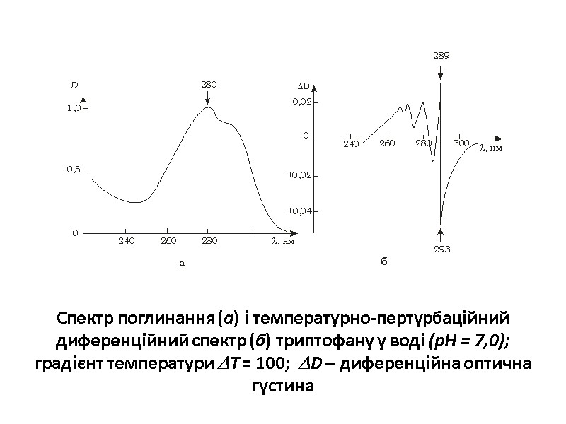 Спектр поглинання (а) і температурно-пертурбаційний диференційний спектр (б) триптофану у воді (рН = 7,0);